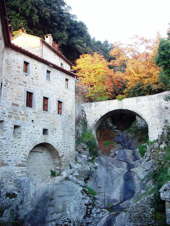 B&B Gabri Cortona Eksteriør bilde