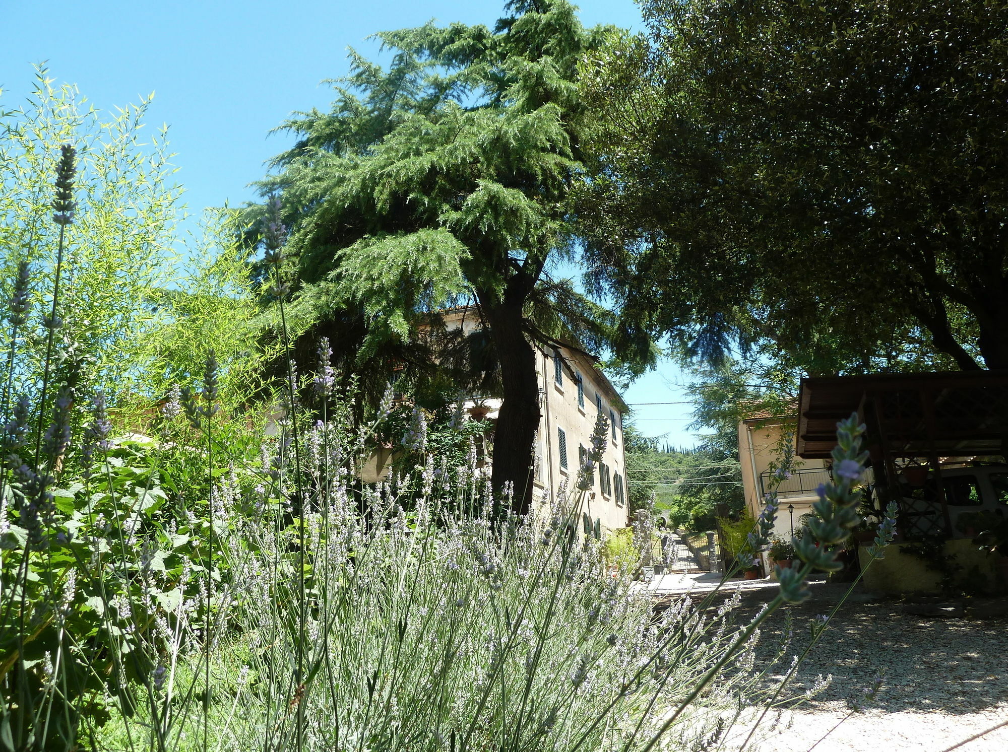 B&B Gabri Cortona Eksteriør bilde